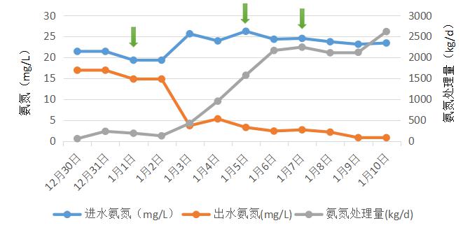 城鎮污水處理生化系統修復項目