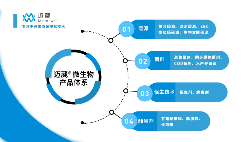 邁葳專注于總氮原位提標技術