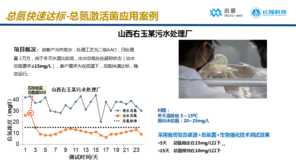 低溫總氮激活菌應(yīng)用案例