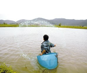 水產養殖