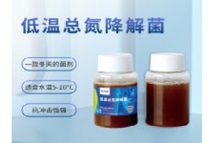 反硝化細菌在污水處理中的具體應(yīng)用是什么？